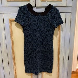 Blue leopard collared dress